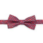 Red Whales Bow Tie