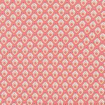 Gravata Pujols Salm&atilde;o